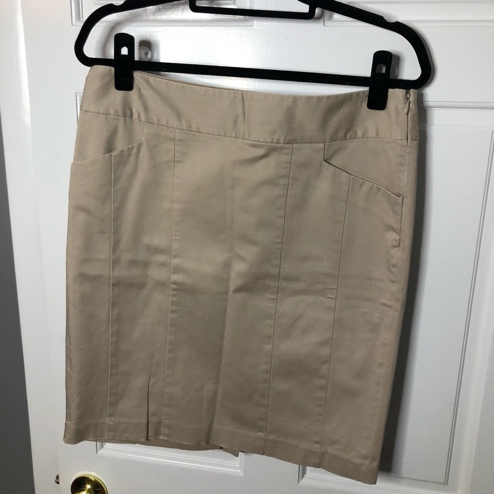 The Limited Skirt
